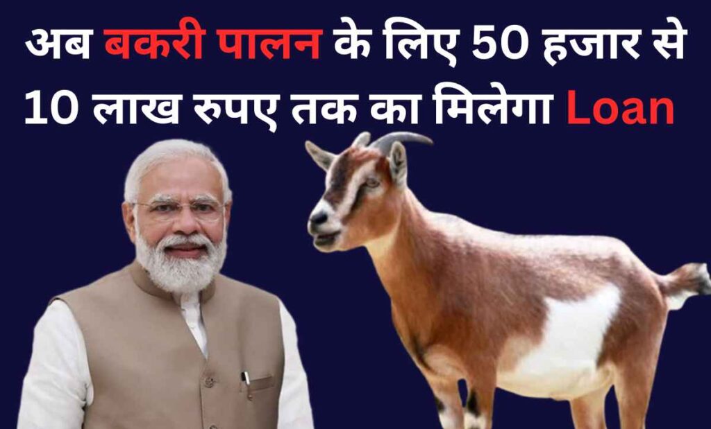 Bakri palan loan kaise milega