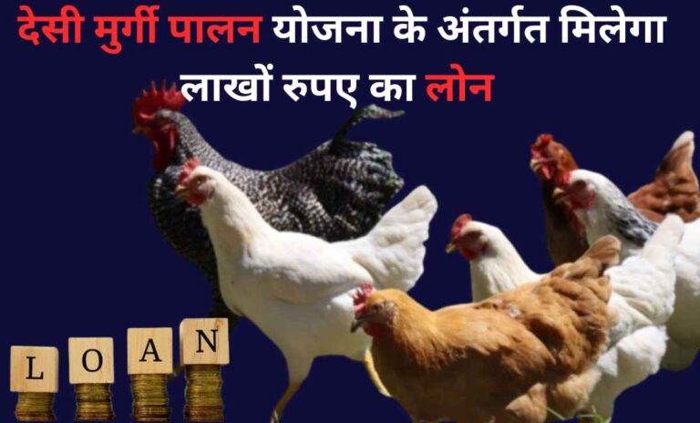 Desi murgi palan yojana