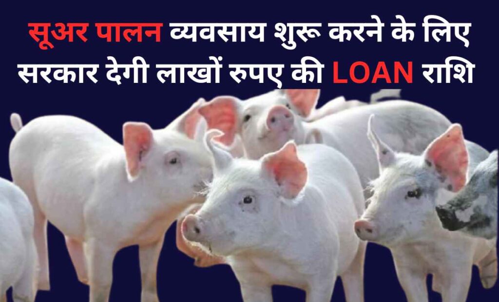 Suar Palan Loan Yojana